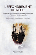 Effondrement du réel (L')